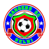 https://img.badila-cn.com/img/football/team/88e381551e35e7367293e86348723537.png